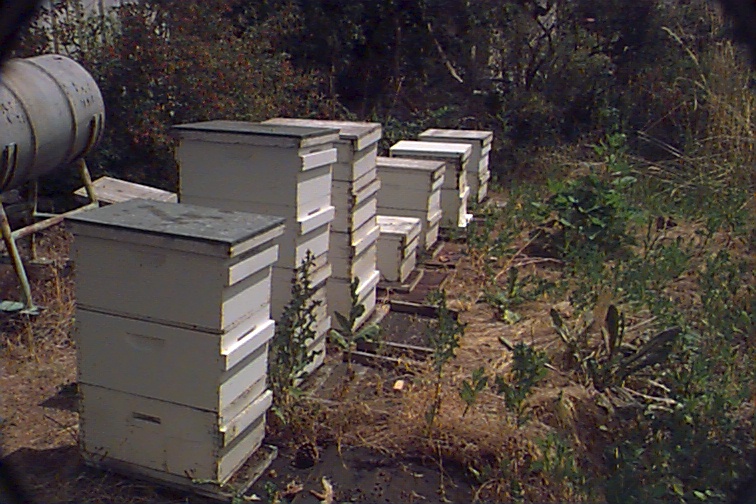 image35.jpg (203400 bytes)